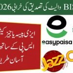 BISP Wallet Verification Error 2026