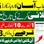 CM Punjab Asaan Karobar Card