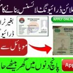 DLIMS Punjab Online e-License System