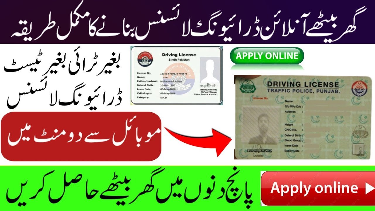DLIMS Punjab Online e-License System