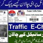 How to Check E-Challan on Mobile in Pakistan