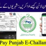 How to Pay Punjab E-Challan Online