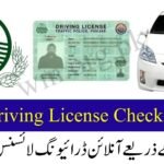 Online Driving License Check by CNIC