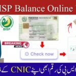 Check BISP Balance Online by CNIC