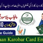 Asaan Karobar Card Errors
