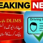 DLIMS Punjab Verification