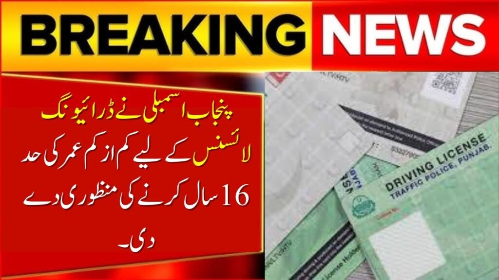 Punjab Assembly Moved to Lower Minimum Age Limit for Driving Licence to 16