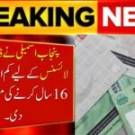 Punjab Assembly Moved to Lower Minimum Age Limit for Driving Licence to 16