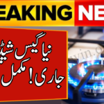 Gas Load-Shedding