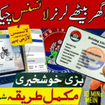 Check Online Learner License