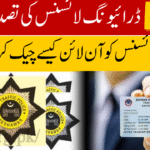 KPK Driving License Verification