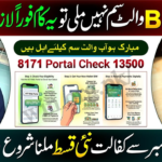 BISP Wallet Activation