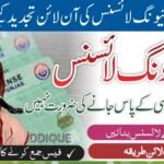 How To Renew Expired Driving Licence In Punjab Online?