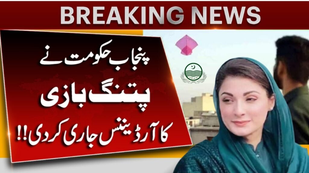 Punjab Kite Flying Ordinance 2025: What Is New Rules?