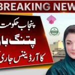 Punjab Kite Flying Ordinance 2025: What Is New Rules?