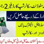 How To Apply For Punjab Merit-Based Scholarship Card 2025 With Free Digital Training And Resources