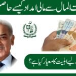 Latest Update: How Can Families Apply For Punjab Bait-Ul-Maal Help 2025