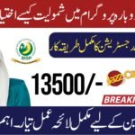 How Eligible Women Can Re-Register For BISP 8171 Program In 2025? Step-By-Step Method