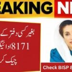 How to Check BISP 8171 Payments