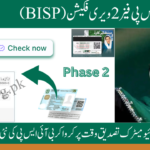 BISP Payment Phase 2 Verification