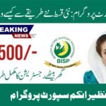 How to Get BISP 8171 1st Phase Payment 2026
