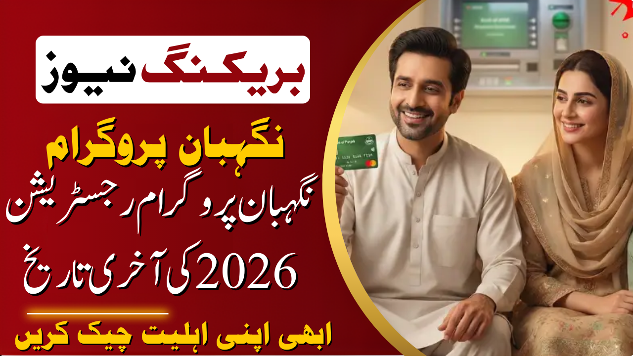 Nigehban Program Registration