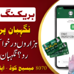 Nigehban Online Registration