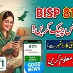 How to Check 8171 BISP Payment