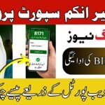 How to Check BISP 14500 Payment