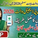 BISP Digital Wallet Payment System