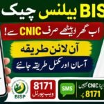 BISP Balance Online by CNIC