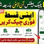 BISP Check Balance Online by CNIC