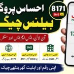 How to Check Ehsaas Balance