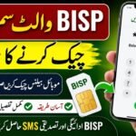 BISP Wallet SIM Balance