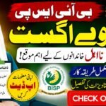 BISP New Survey August