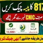 8171 Money Online by CNIC Number