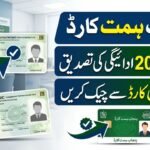 Punjab Himmat Card