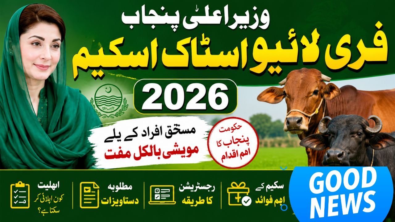 CM Punjab free livestock scheme