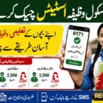 Benazir Taleemi Wazaif Payment