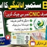 BISP September payment status