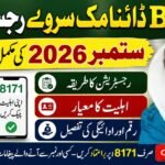 BISP Dynamic Survey