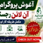 Aghosh Program 2026