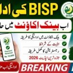 BISP Bank Account Payment