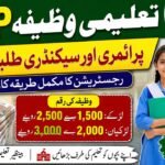 BISP stipend for primary and secondary