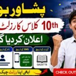 BISE Peshawar 10th Class Result