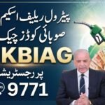 Provincial Codes for Petrol Relief